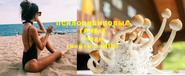 не бодяженный Баксан